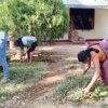 Home gardening program implemented in the office premises